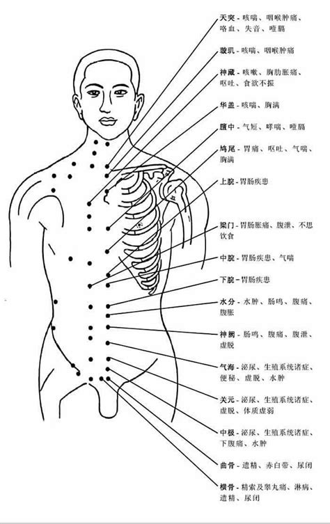 穴穴形狀|人體穴位圖